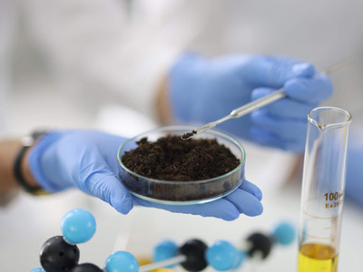 Laboratory soil testing sample analysis in petri dish